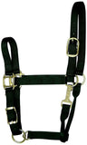 Hamilton 1-Inch Nylon Adjustable Quality Halter with Chin Snap for 800 to 1100-Pound Horse, Average, Black