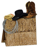 Beistle 3-D Western Centerpiece Party Accessory