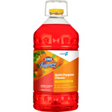 Fraganzia MultiPurpose Cleaner, CloroxPro, Citrus Blossom Scent, 175 Fl Oz