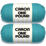 Caron One Pound Aqua Yarn - 2 Pack of 454g/16oz - Acrylic - 4 Medium (Worsted) - 812 Yards - Knitting/Crochet