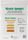 Color Wheel A1911 Compressed Sponges, 2Pack
