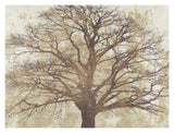 Sacred Oak-Paper Art-18,,X14,,