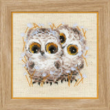 Riolis Counted Cross Stitch Kit 5X5Little Owls (14 Count)