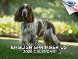 2025 2026 English Springer US Calendar - Dog Breed Monthly Wall Calendar - 12 x 18 Open - Thick No-Bleed Paper - Giftable - Acad