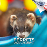2024 2025 Ferrets Calendar Cute Animal Monthly Wall Calendar 12 x 24 Open Thick NoBleed Paper Giftable Academic Teach