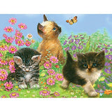 Royal Brush Color Pencil by Number Kit, 8.75 by 11.75Inch, Kittens