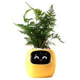 Plantsio Intelligent Plant Robot With Emojis For Plant Care, Charming Plant Companion With Comprehensive Gesture Interaction, Ga