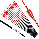 Pointdo 30inch Carbon Arrow Fluorescence Color Targeting and Hunting Practice Arrows for Recurve and Compound Bow with Removable
