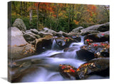 Little Pigeon River Cascading Among Rocks And Colorful Maple Leaves, Great Smoky Mountains National Park, Tennessee-Canvas Art-2