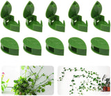 Arkit 10 Pcs Plant Support For Climbers, Leaf Plant Organiser Clip Money Plant Clips For Wall Support Creeper Plant Support Clim