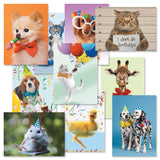 Current Kids Animal Photo Happy Birthday Greeting Card Set - Value Pack of 20 Cards for Kids With White Envelopes, 10 Designs, L