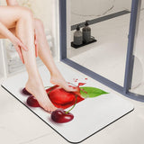 Diatomaceous Earth Door Mats 20X32 Ultra Thin Bath & Shower Mat Non-Slip Fast Absorbing Outdoor Cherry Juice Doormats Quick Dry