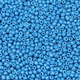 LEECOON 2mm Blue Color Seed Beads 100grams About 8800pcs Size 12/0 Small Seed Beads for Making Necklace Bracelet Earring Jewelry