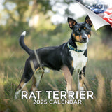 2024 2025 Rat Terrier Calendar Dog Breed Monthly Wall Calendar 12 x 24 Open Thick NoBleed Paper Giftable Academic Tea