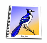 3dRose db_24770_1 Birds Blue Jay 1 on Transparent Drawing Book, 8 by 8Inch