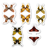 woopme Butterfly Magnetic Bookmark for Book Lovers Readers Students Gift Magnetic Page Clips Folding Set of 5