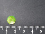 The Design Cart Green Single Hole Round Plastic Sequins Ntc1104152, 500 Grams, 10 mm Sequins for Embroidery Work, Jewellery Maki