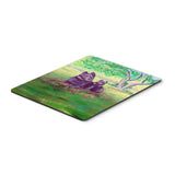 Caroline'S Treasures Mouse/Hot Pad/Trivet, Schipperke (7263Mp)