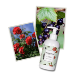 Rose & Black Currant Hand & Body Lotion