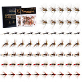 Goture Fly Fishing Flies,60pcs Fly Fishing Lures with Tackle Box,Dry,Wet,Streamers Nymphs Flies Assortment Kit for Bass Trout Pa