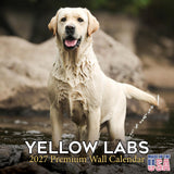 Yellow Labrador Calendar 2027 - 19 Month Dog Wall Calendar, Monthly Planner, Large Writing Blocks, Thick No Bleed Paper, Made in