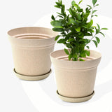 Eha EarthFriendly Aura 8 Inch Plant Pot Made With Rice Husk, Pack Of 2