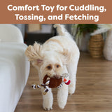 Ethical Pets Gigglers Chicken Dog Toy, 12-Inch, Assorted