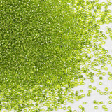 2mm Olive Green Seed Beads for Jewelry Making 200 Grams About 18880pcs,12/0 Glass Craft for Making Earrings, Bracelets, Pendants