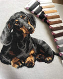 Riolis - Dachshund 906, Dogs Cross Stitch Kits 9,84 X 9,84, Counted Cross Stitch Kits, Counted Cross Stitch Kits For Beginne