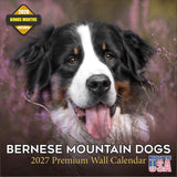 Bernese Mountain Dog Calendar 2027 - 16 Month Dog Wall Calendar, Monthly Planner, Large Writing Blocks, Thick No Bleed Paper, Ma