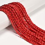 JM Design 3x6mm Red Bamboo Coral Smooth Oval Rice Shape Beads 15.5 Strand for Jewelry Making Craft