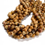 48Pcs Yellow Picture Jasper 8mm Beads Natural Stone Round Gemstone Genuine Real Stone for DIY Bracelet Jewelry String Making