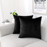 NiNi ALL Teal Velvet Throw Pillow Covers 12x12 Pack of 2 Decorative Couch