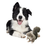 SPOT Woodland Collection Squirrel Dog Toy with Squeaker, Plush Grunting Tug Toy, Interactive Play for All Dog Breeds, 10