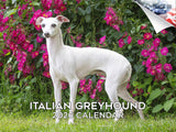 2025 2026 Italian Greyhound Calendar - Dog Breed Monthly Wall Calendar - 12 x 18 Open - Thick No-Bleed Paper - Giftable - Academ
