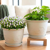 Eha Set Of 2 EarthFriendly 10 Leafy Planters With Tray | Bamboo Fiber | Uv Protected | Drainage Hole | Pots For Indoor, Outdoo