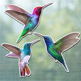 Konohan 3 Pairs Hummingbird Screen Door Magnets Double Sided Patio Flexible Magnetic Screen Saver Decorative Retractable Window