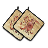 Caroline'S Treasures Cooked Crab Sandy Beach Pair Of Pot Holders 8154Pthd, 7.5Hx7.5W, Multicolor