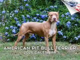 2025 2026 American Pit Bull Terrier Calendar - Dog Breed Monthly Wall Calendar - 12 x 18 Open - Thick No-Bleed Paper - Giftable