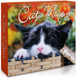 Cat Naps 2026 Daily Desk Calendar: Boxed Page-a-Day Cute Cat Photo Calendar with Day-to-Day Adorable Sleeping Kittens & Funny Fe