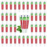 60 Tubes Travel Size Toothpaste in Bulk, Disposable Mini Mint Compact Small Pocket Size Essential Toothpaste for Vacation Hotel