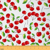 Cherry Fabric by The Yard,Cherry Design Fresh Berry Fruit Upholstery Fabric,Summer Garden Indoor Outdoor Fabric,Cabin Lodge Cher
