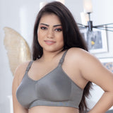 Trylo Riza T-Fit-32-Grey-F-Cup,GREY,32,B0CKBXJD8F