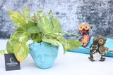 Anticia Handicrafts Resin Miniature Girl Head Pot Succulent Planter Flower Pots Indoor Container For Garden And Office Table (On