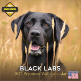 Black Lab Calendar 2026 2027, 16-Month Labrador Retriever Wall Academic