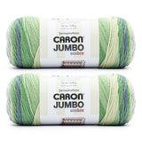 Caron Jumbo Ombre Lake Mist Yarn - 2 Pack of 12oz/340g - Acrylic - #4 Worsted (Medium) - 595 Yards - Knitting & Crochet