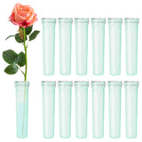 BEADNOVA Floral Water Tubes 2.8 Inch Plastic Water Tubes for Floral Flower Vials with Caps for Flower Arrangement Decoration (Gr