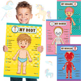 Outus Human Body Educational Learning Posters Body Parts Wall Chart 22 x 17 Inch for Kids Cartoon Anatomy Chart Large Educationa