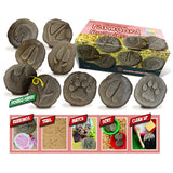 Yellow Door YUS1065 Lets Investigate Farmyard Footprints Stone (Pack of 8)