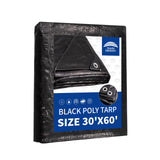 RAINDEWAY Extra Large Tarp 30x60, 8 Mil Thick, Black Tarps Heavy Duty Waterproof, UV Resistant, Cover with Metal Grommets and Re